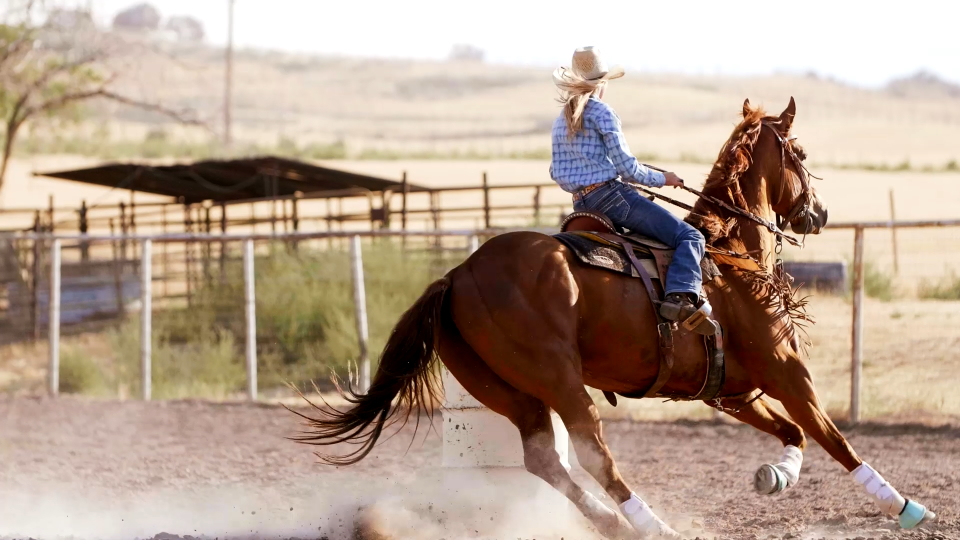 Excerpt from NHSFR rodeo video